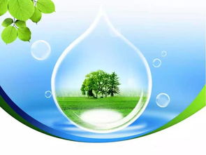 每日聚焦 保護環(huán)境是每個人的義務